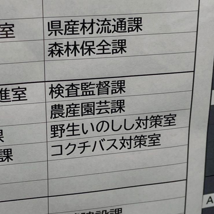 ad7205fd-a98b-4040-a001-9cefaeea226a.jpg